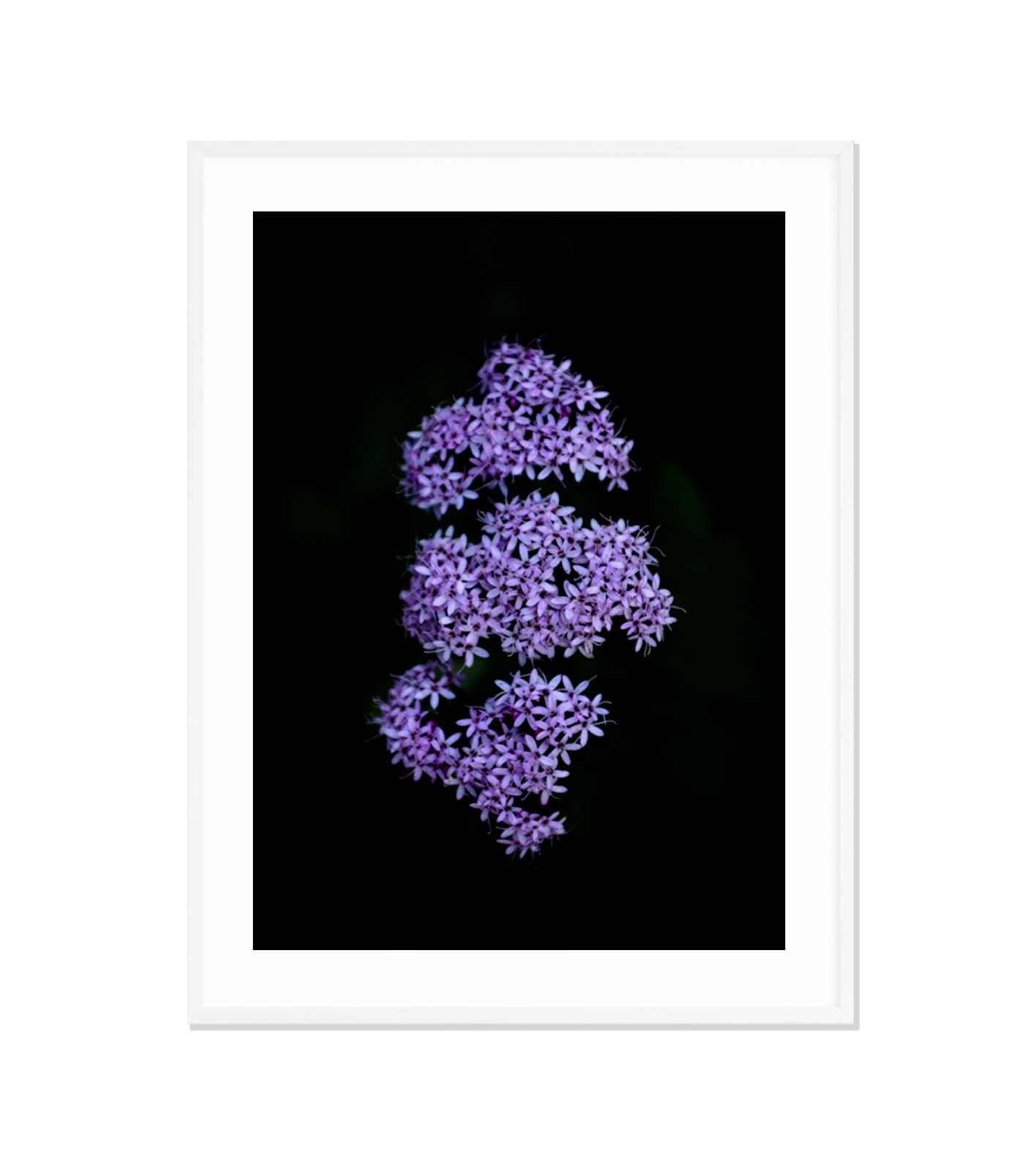 Constelación minima