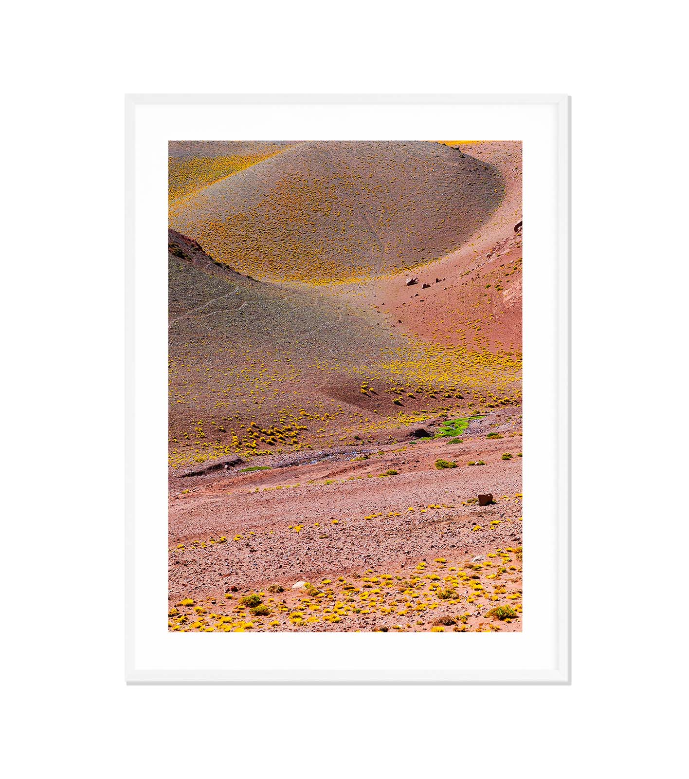 TIERRAS VII