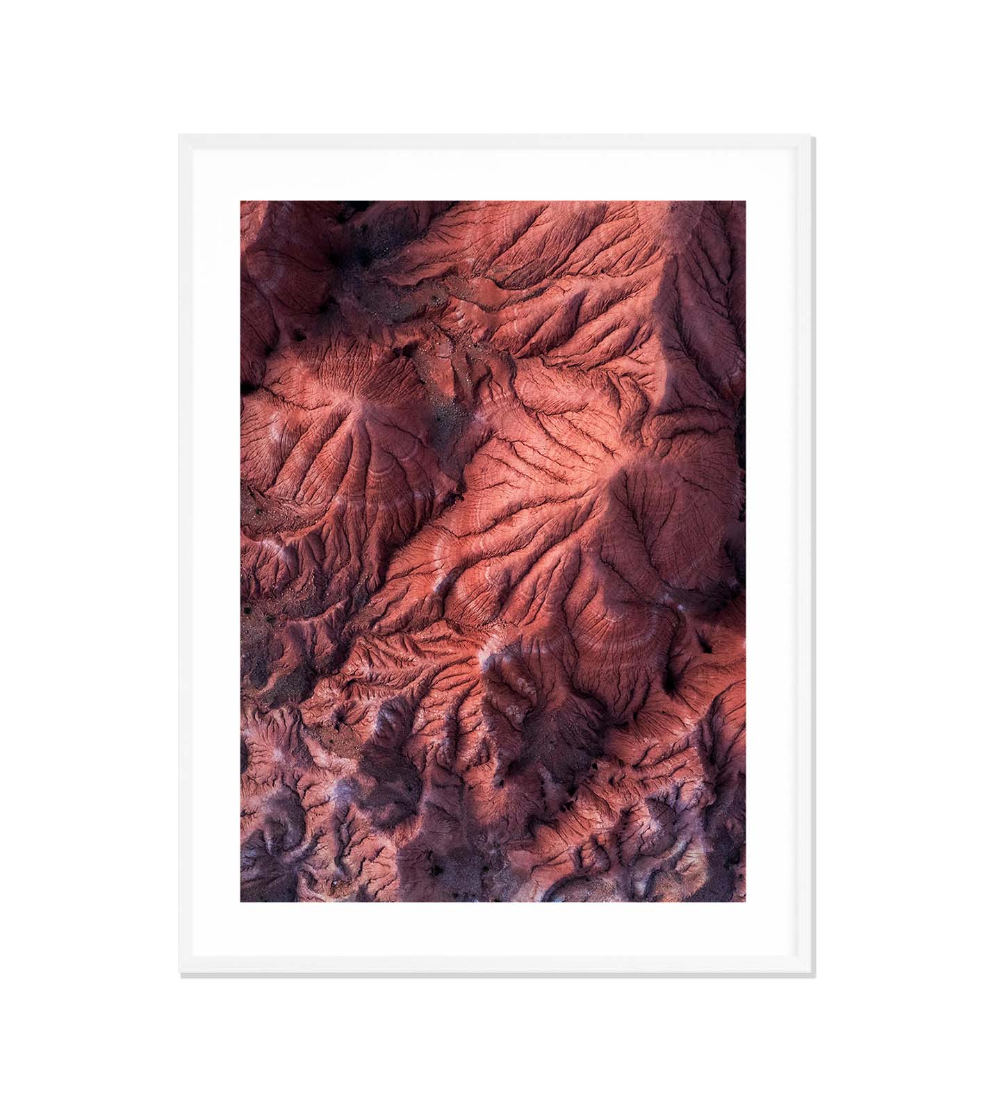 TIERRAS IV