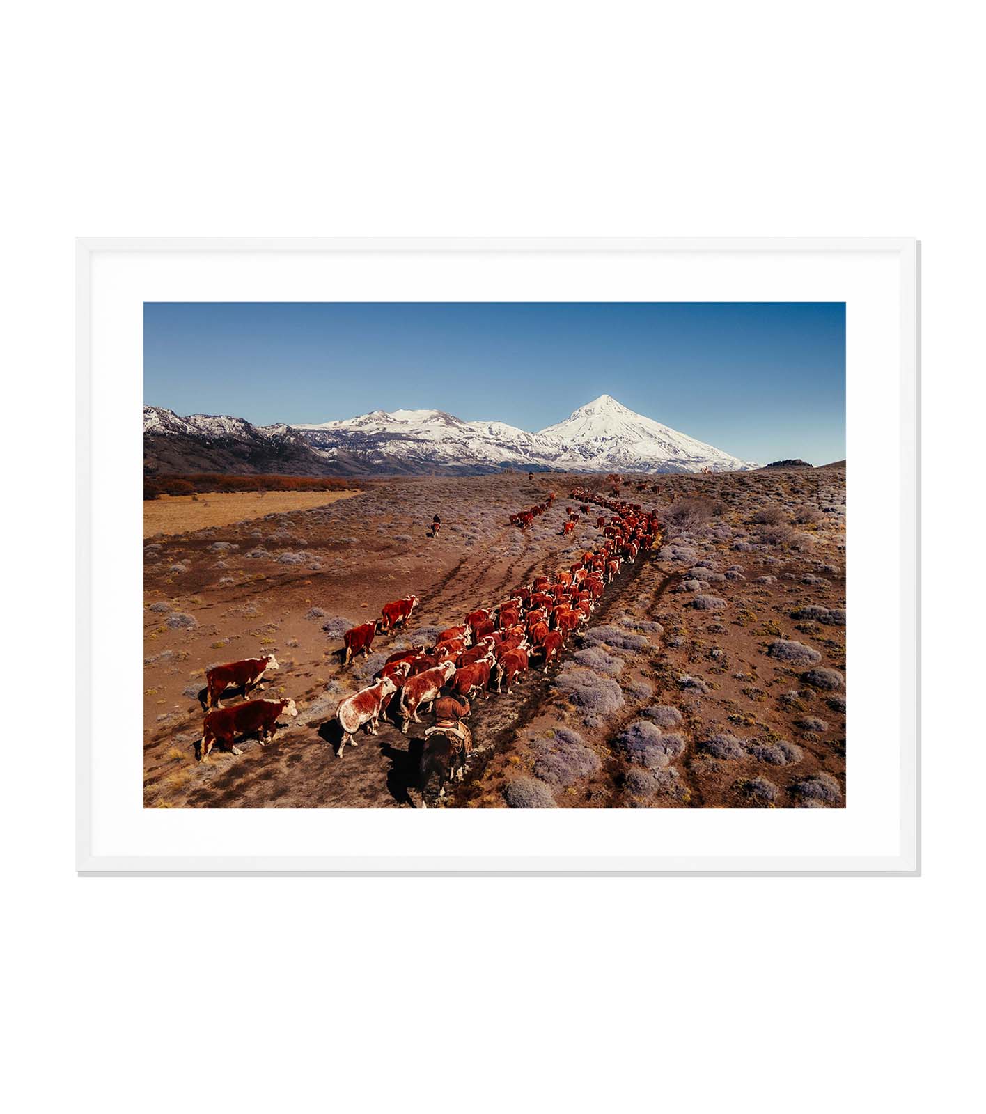 La veranada — Patagonia, Argentina
