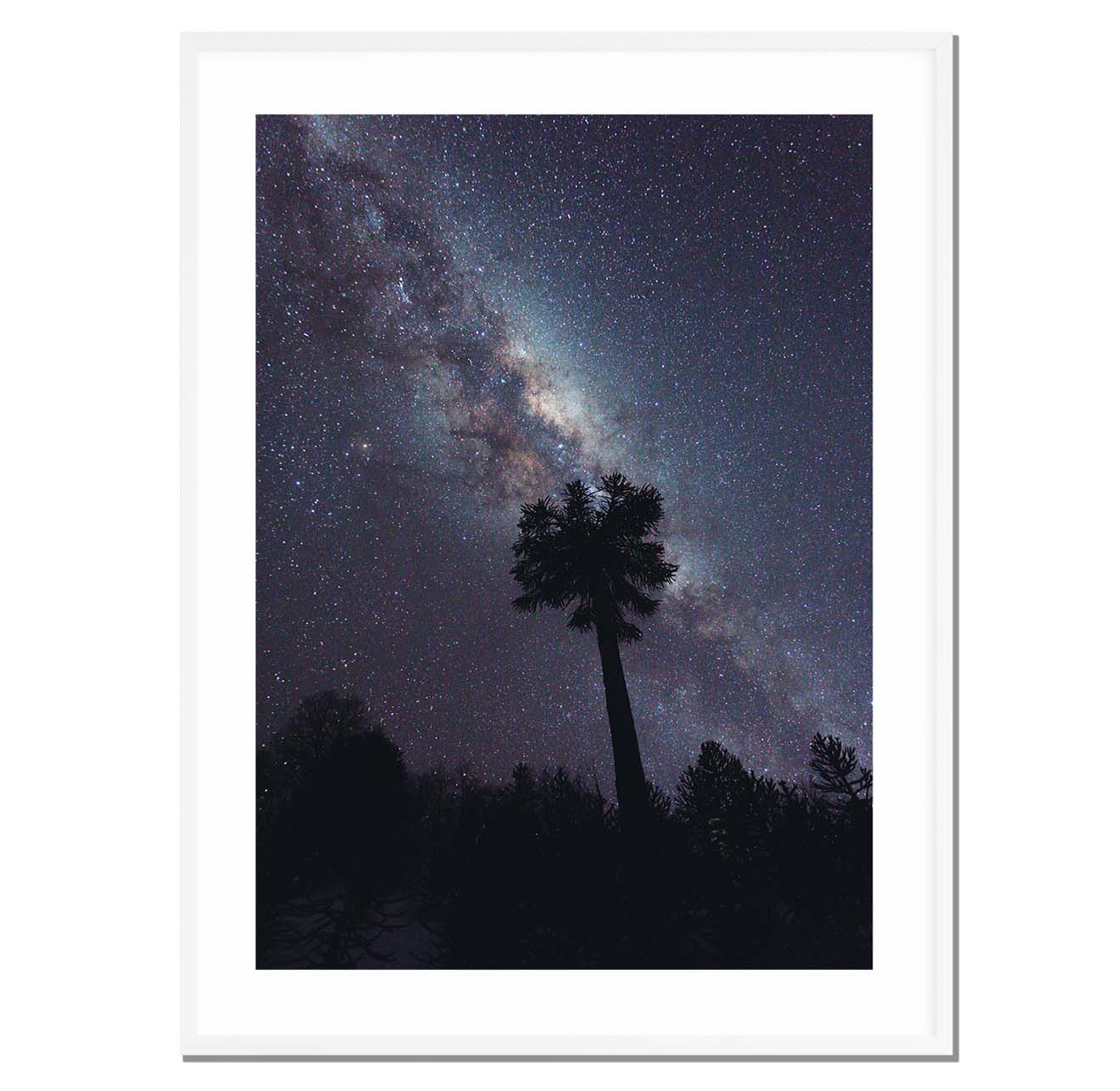 Bajo la vía láctea