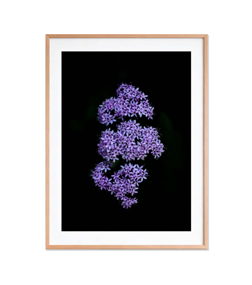 Constelación minima
