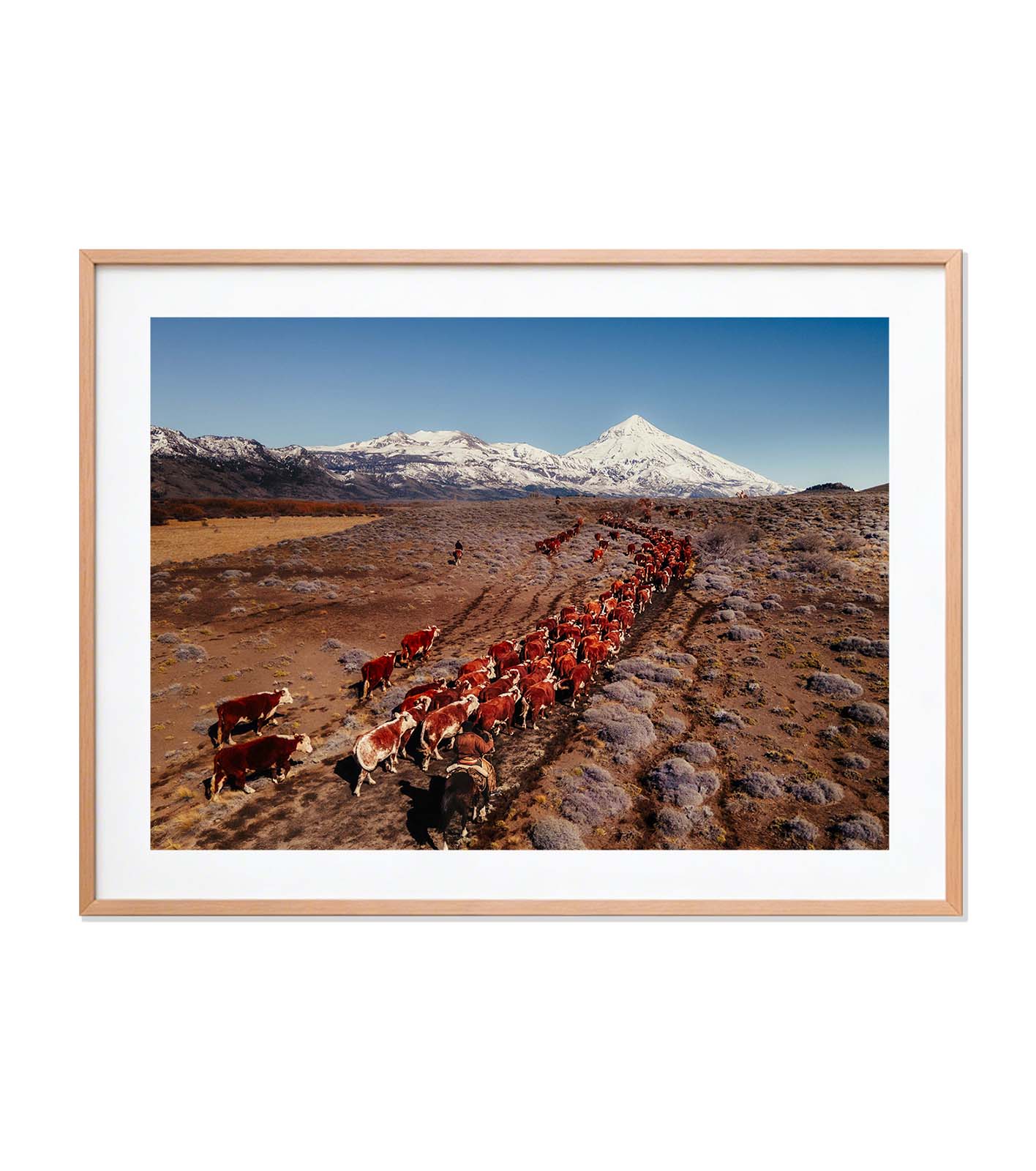 La veranada — Patagonia, Argentina