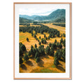 Bosque plano