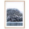 Orilla en invierno