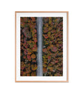 Otoño