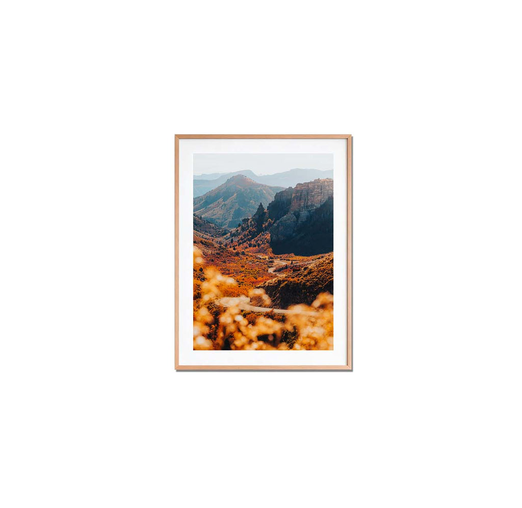 Camino de otoño