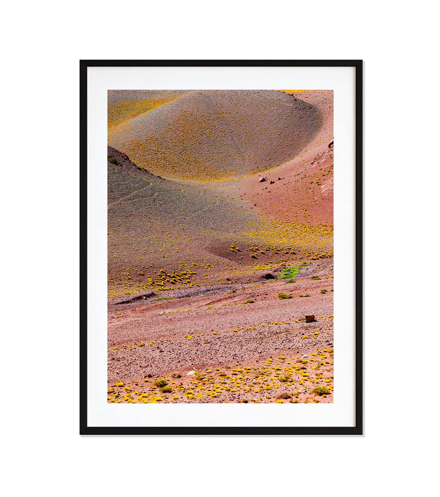 TIERRAS VII