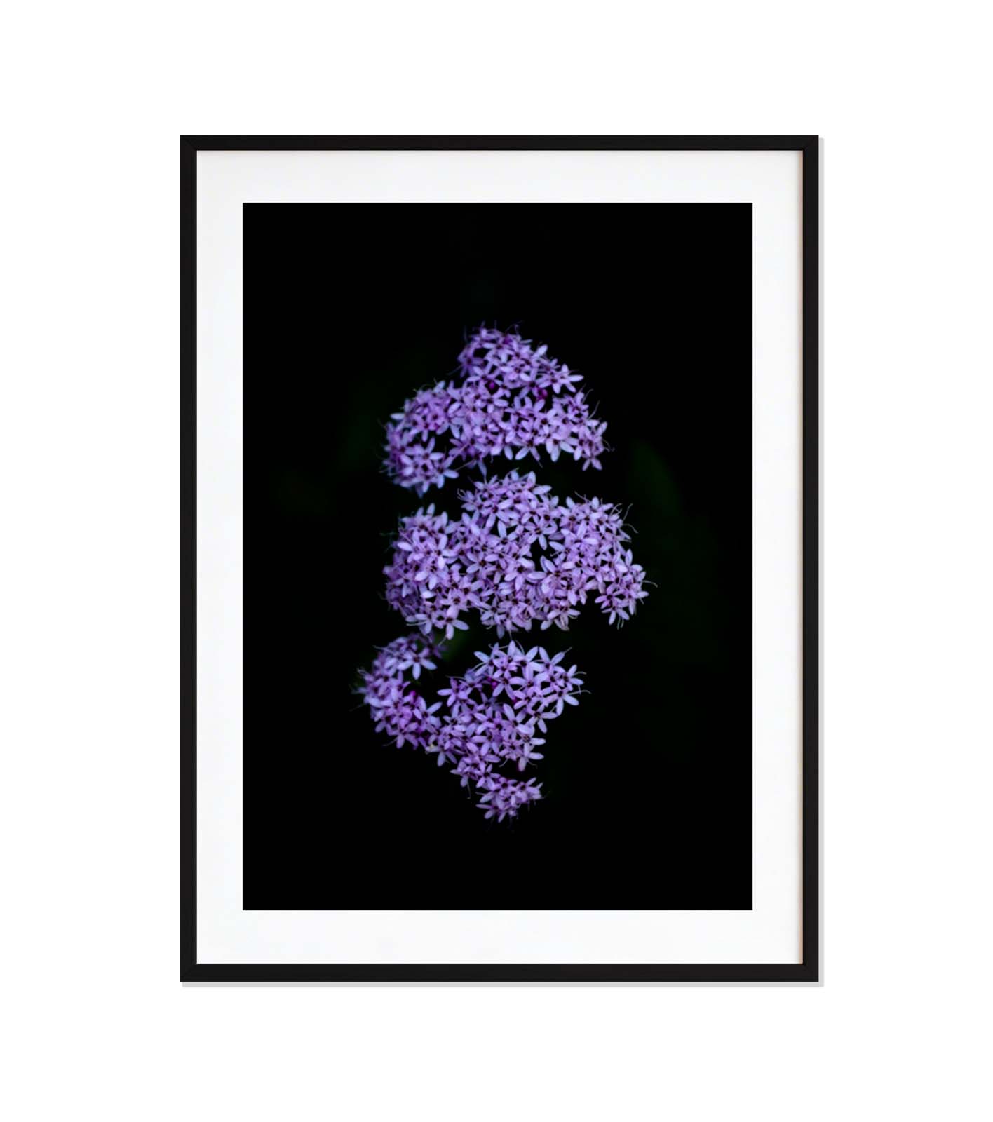 Constelación minima