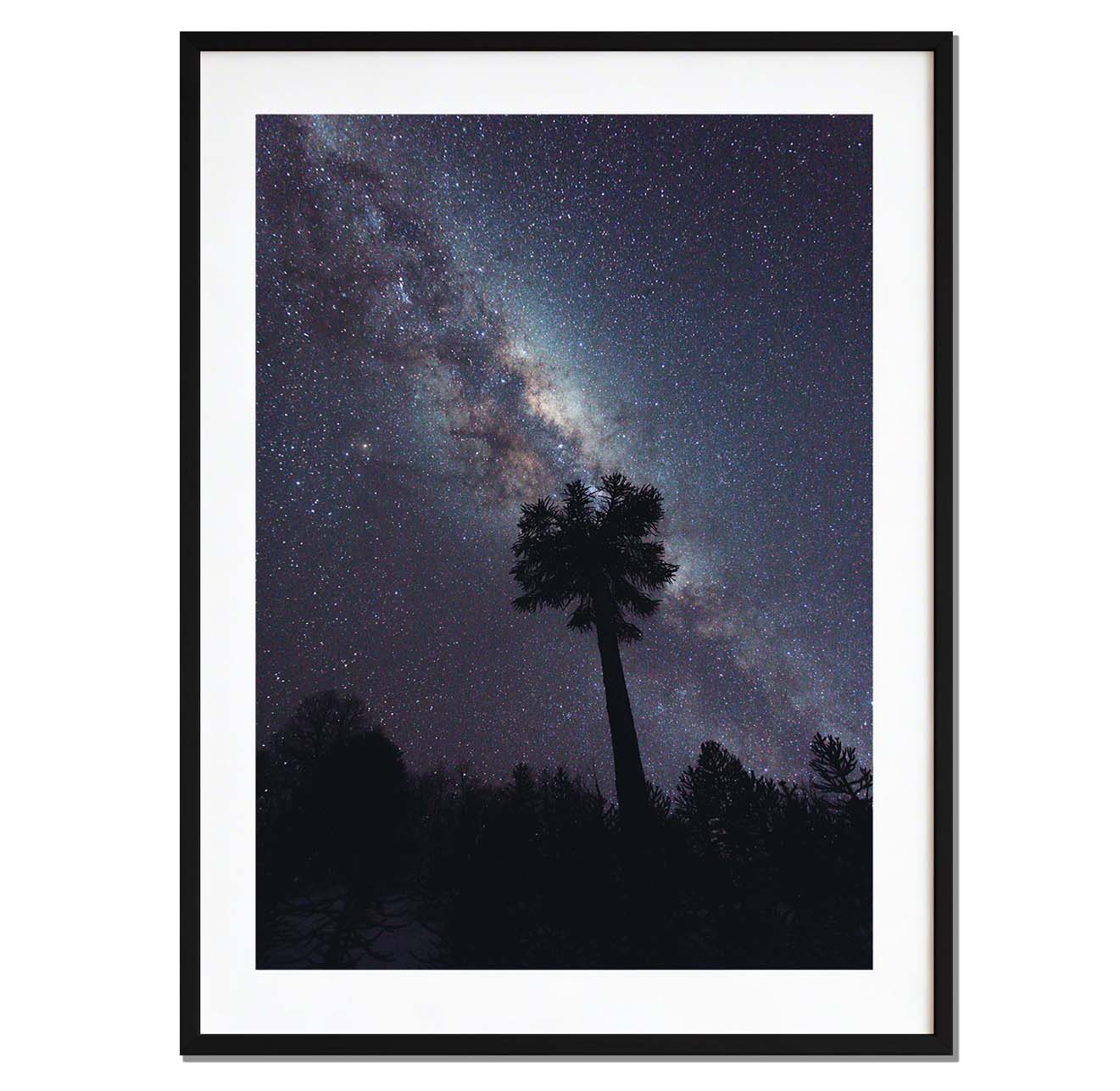 Bajo la vía láctea