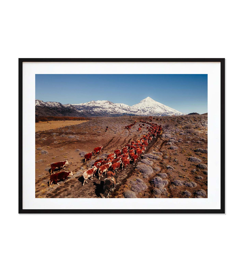 La veranada — Patagonia, Argentina