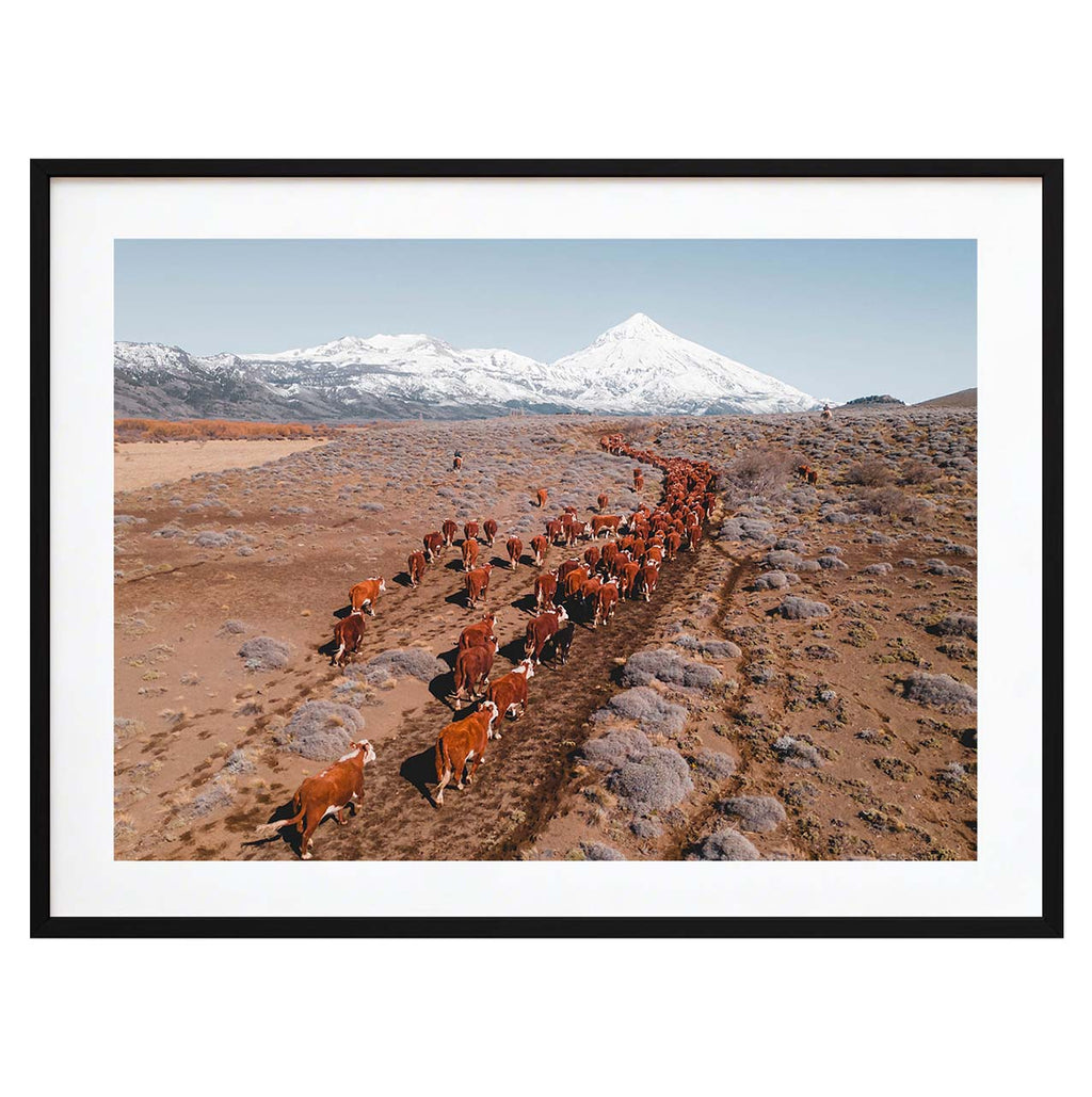 La columna