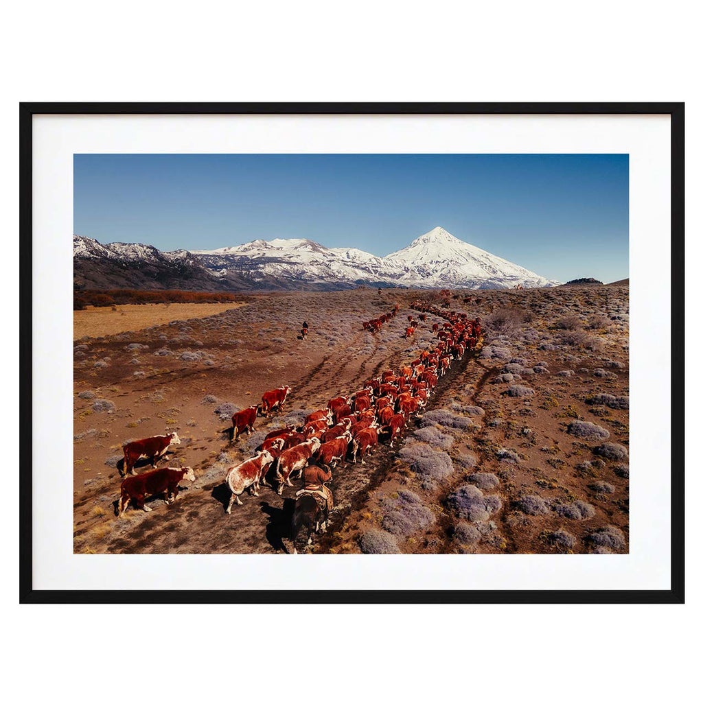 La veranada — Patagonia, Argentina