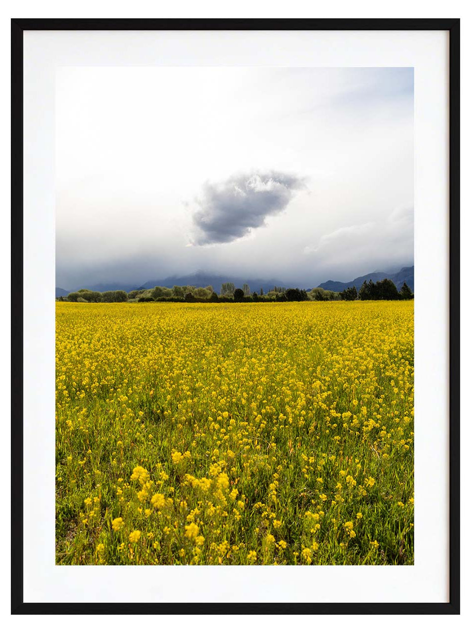 Campo abierto