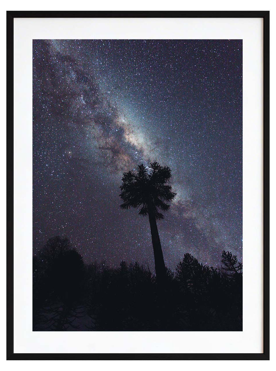 Bajo la vía láctea