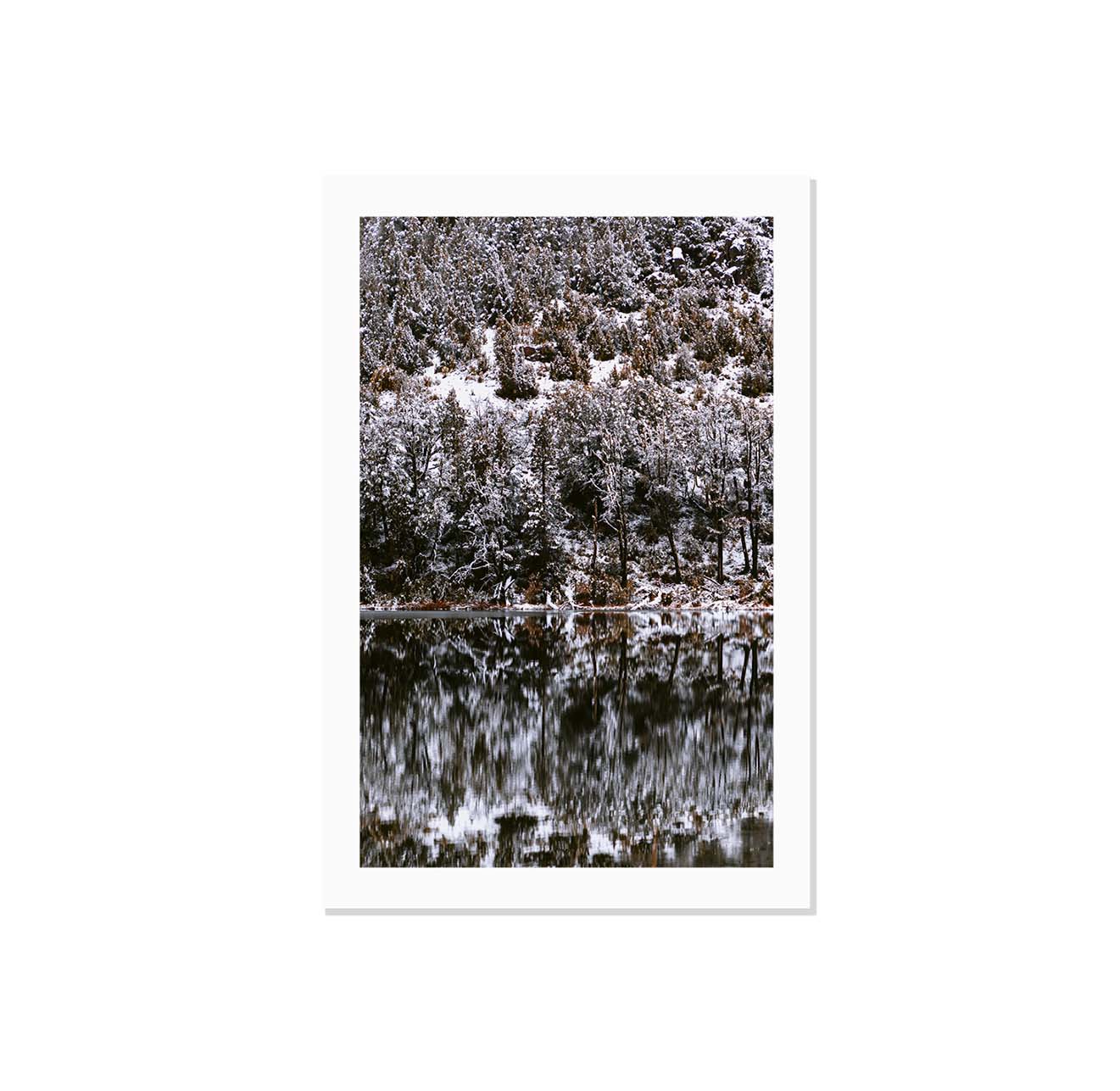 Laguna blanca