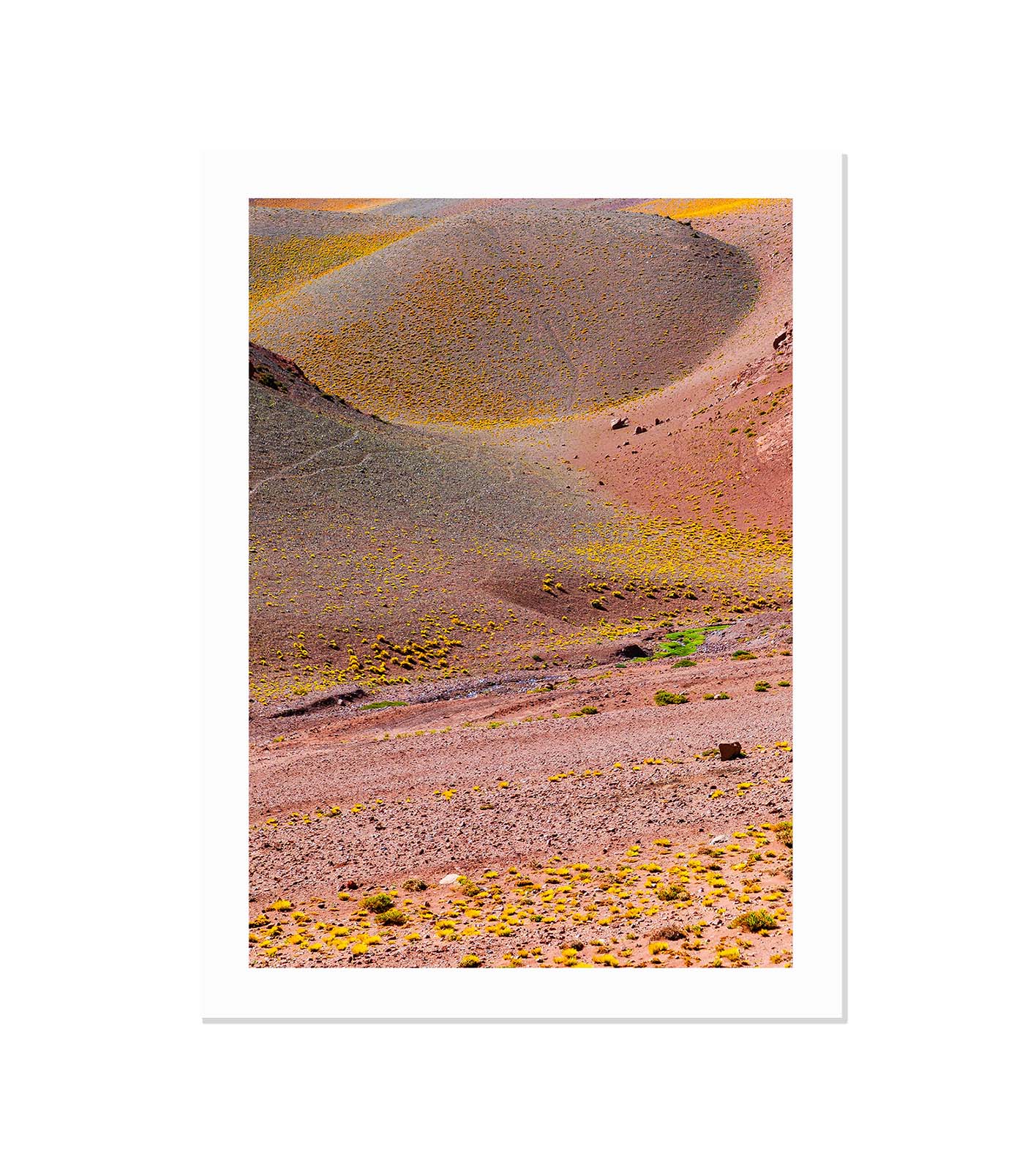 TIERRAS VII