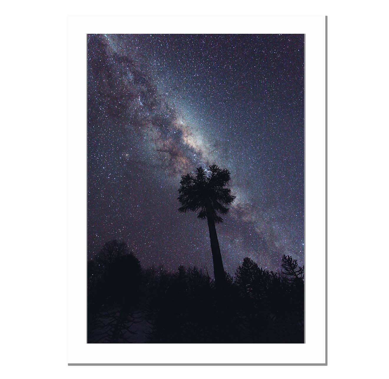 Bajo la vía láctea