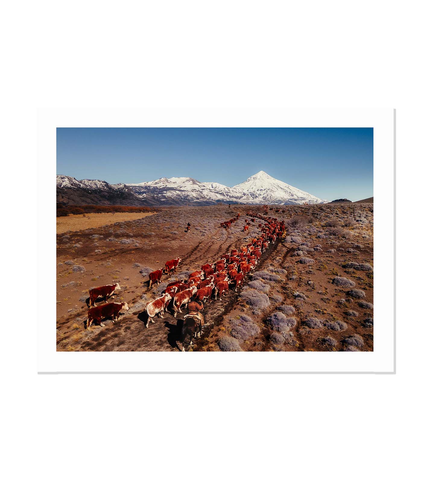 La veranada — Patagonia, Argentina