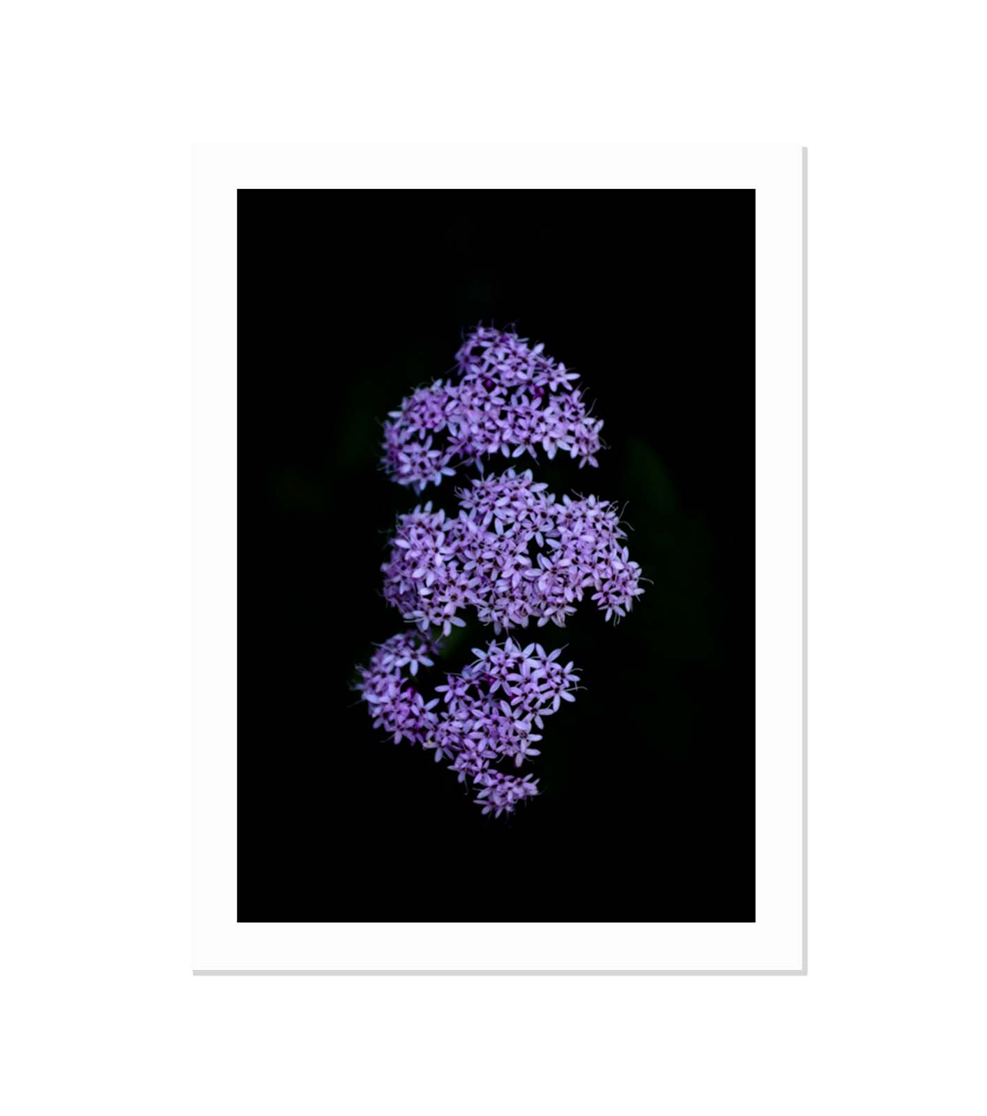 Constelación minima