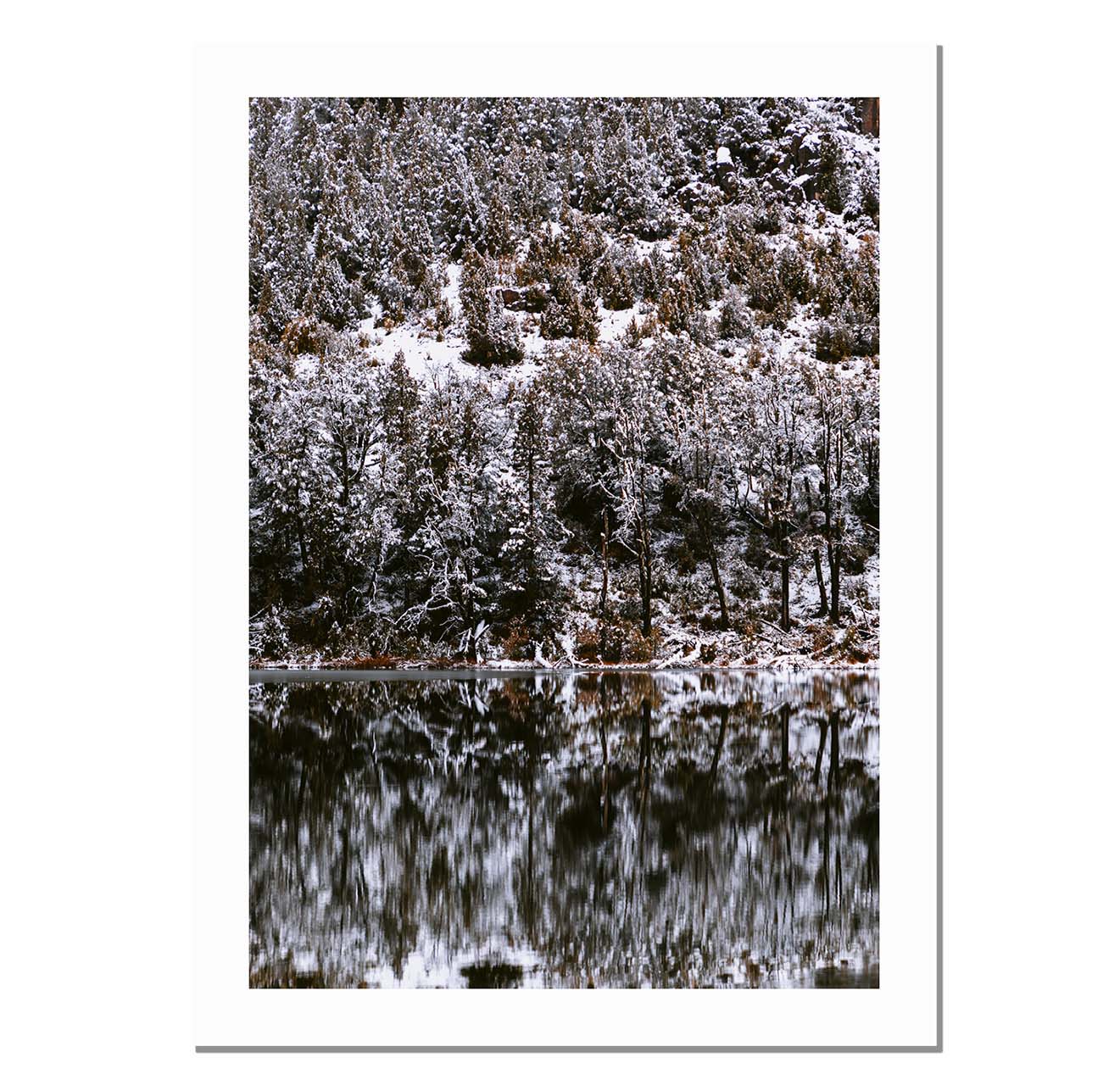 Laguna blanca