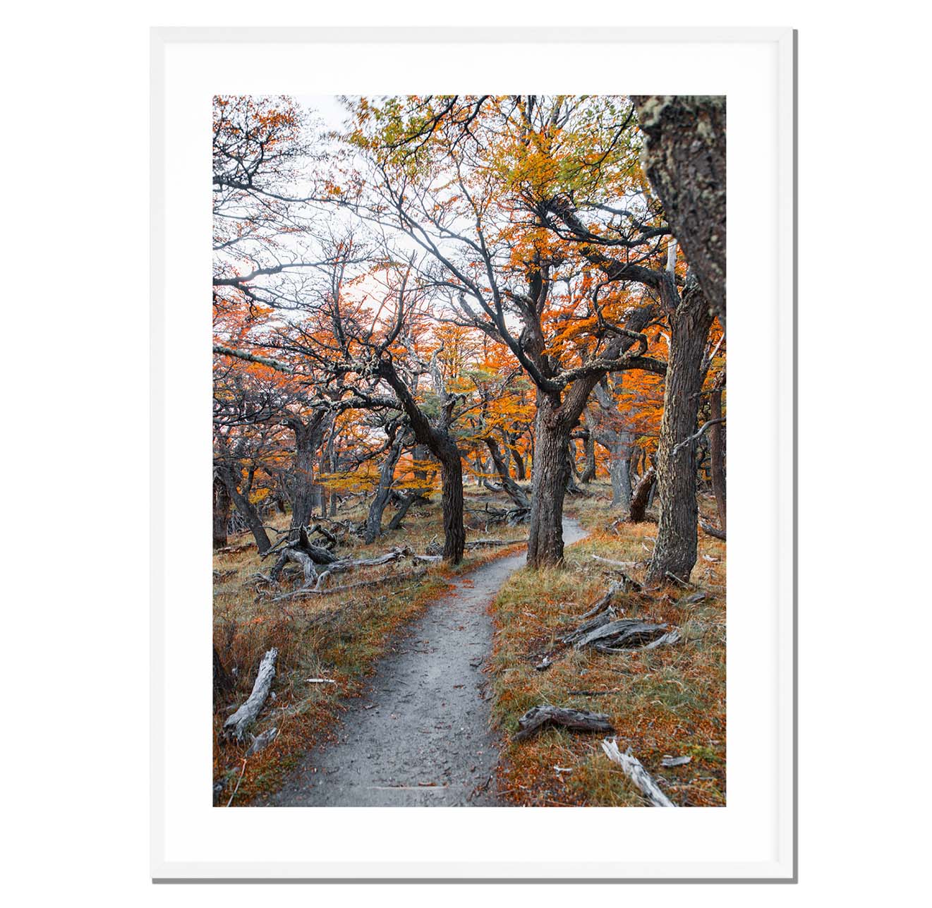 Sendero