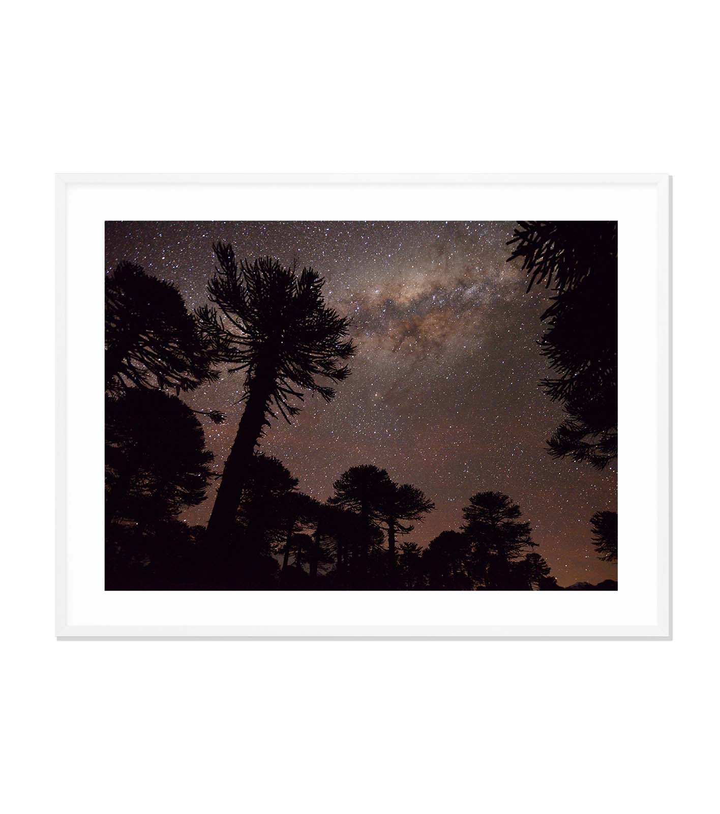 El cielo infinito