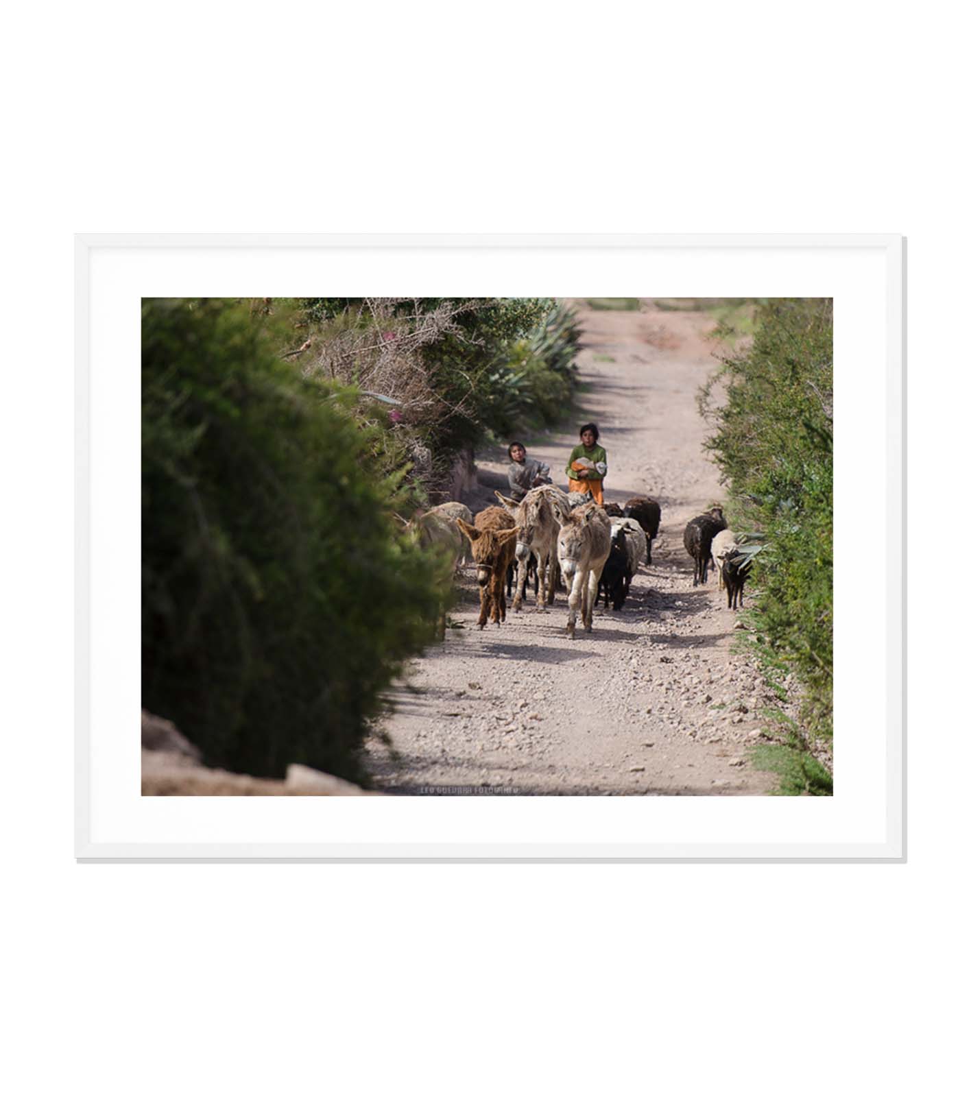 Pasos milenarios en el Valle Sagrado
