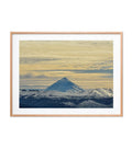 Volcan Lanin