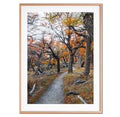 Sendero