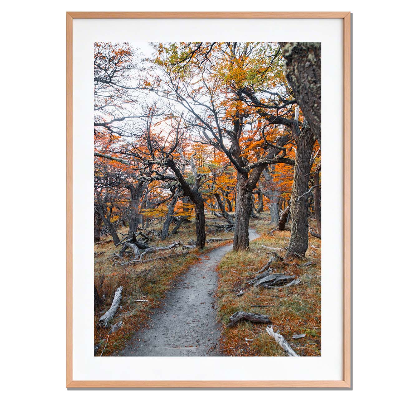 Sendero