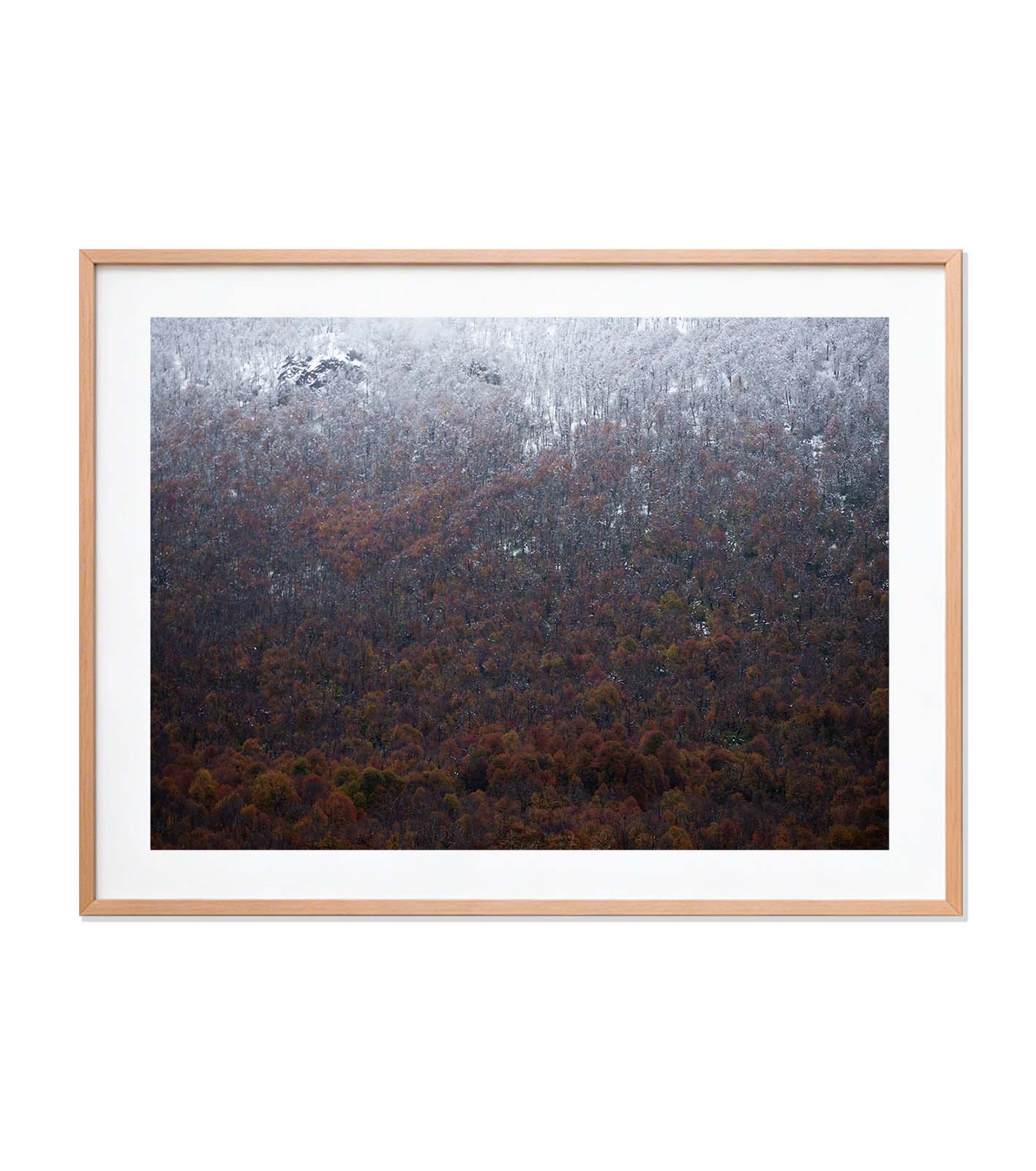 Otoño casi blanco