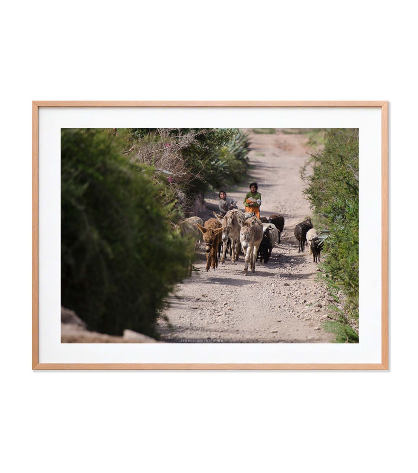 Pasos milenarios en el Valle Sagrado
