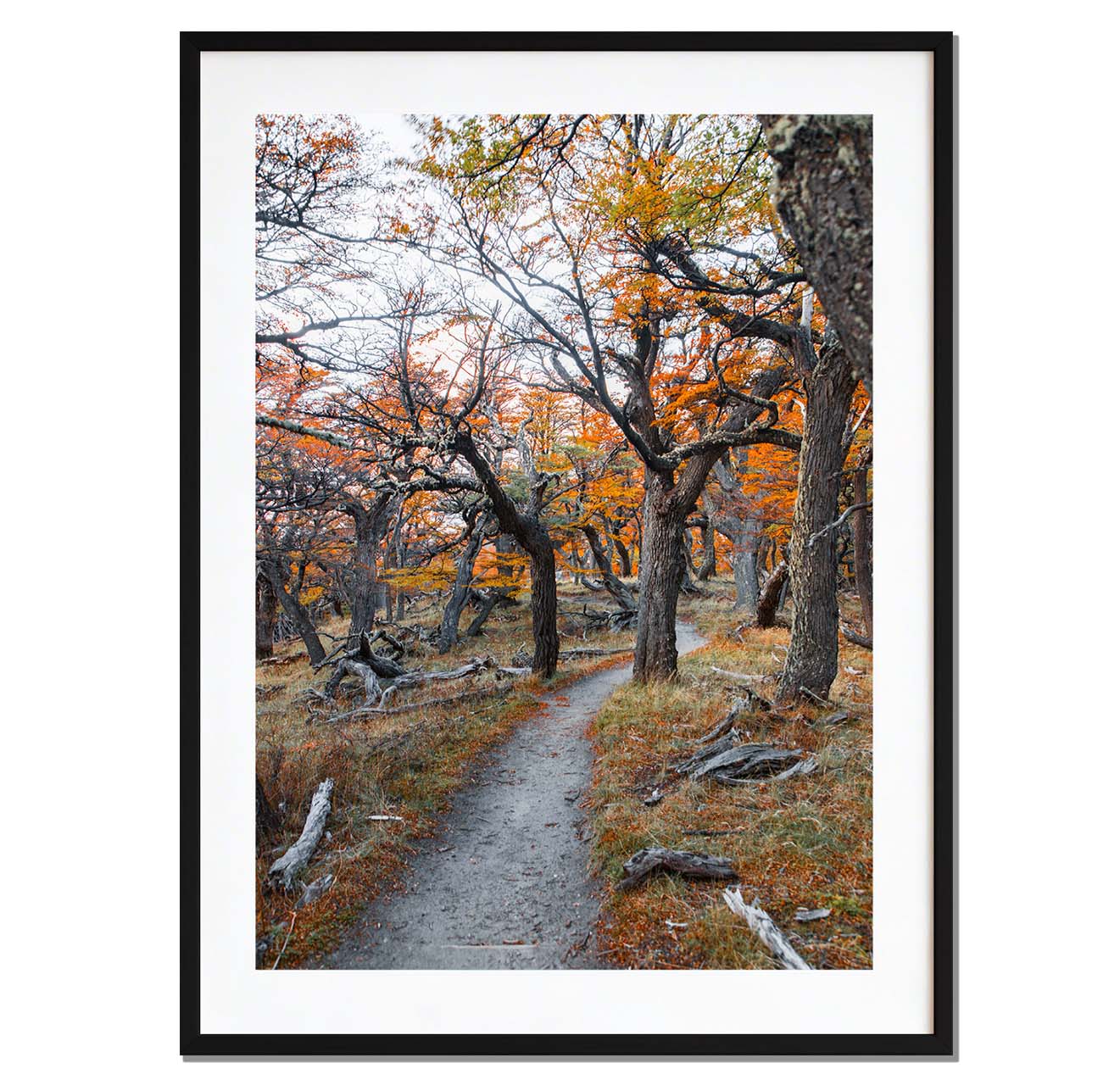 Sendero