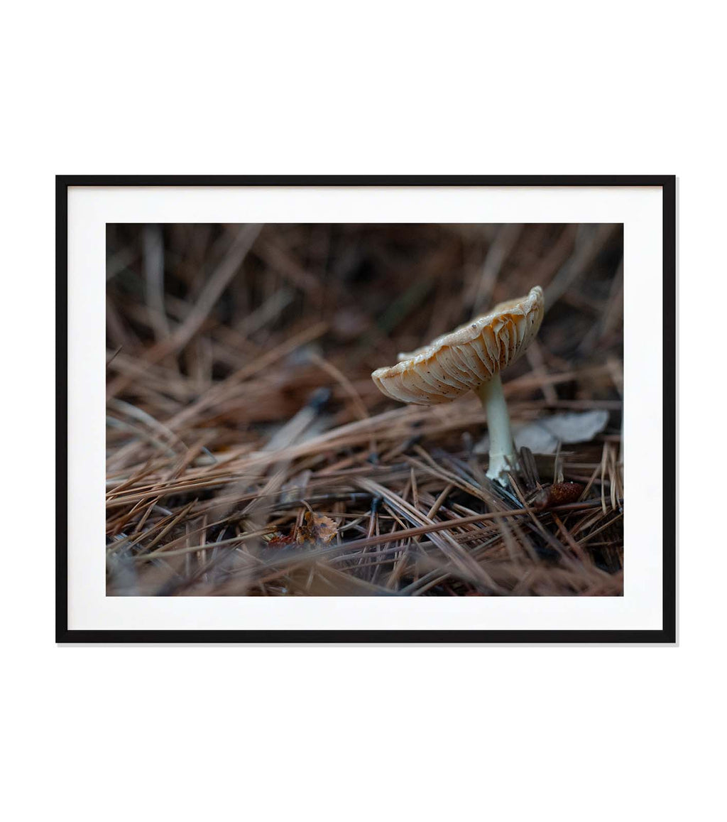 Macro mundo