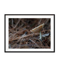 Macro mundo