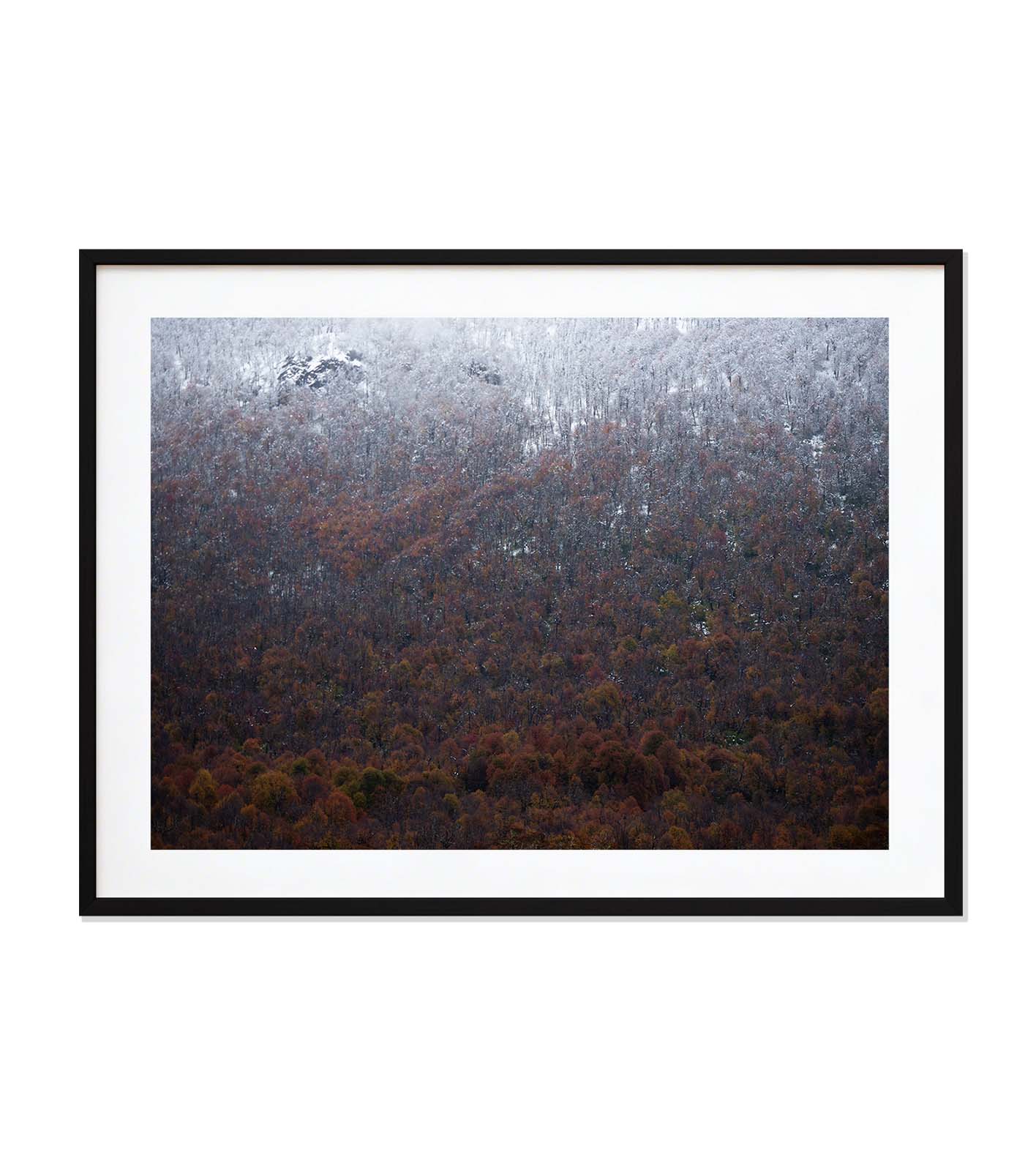 Otoño casi blanco