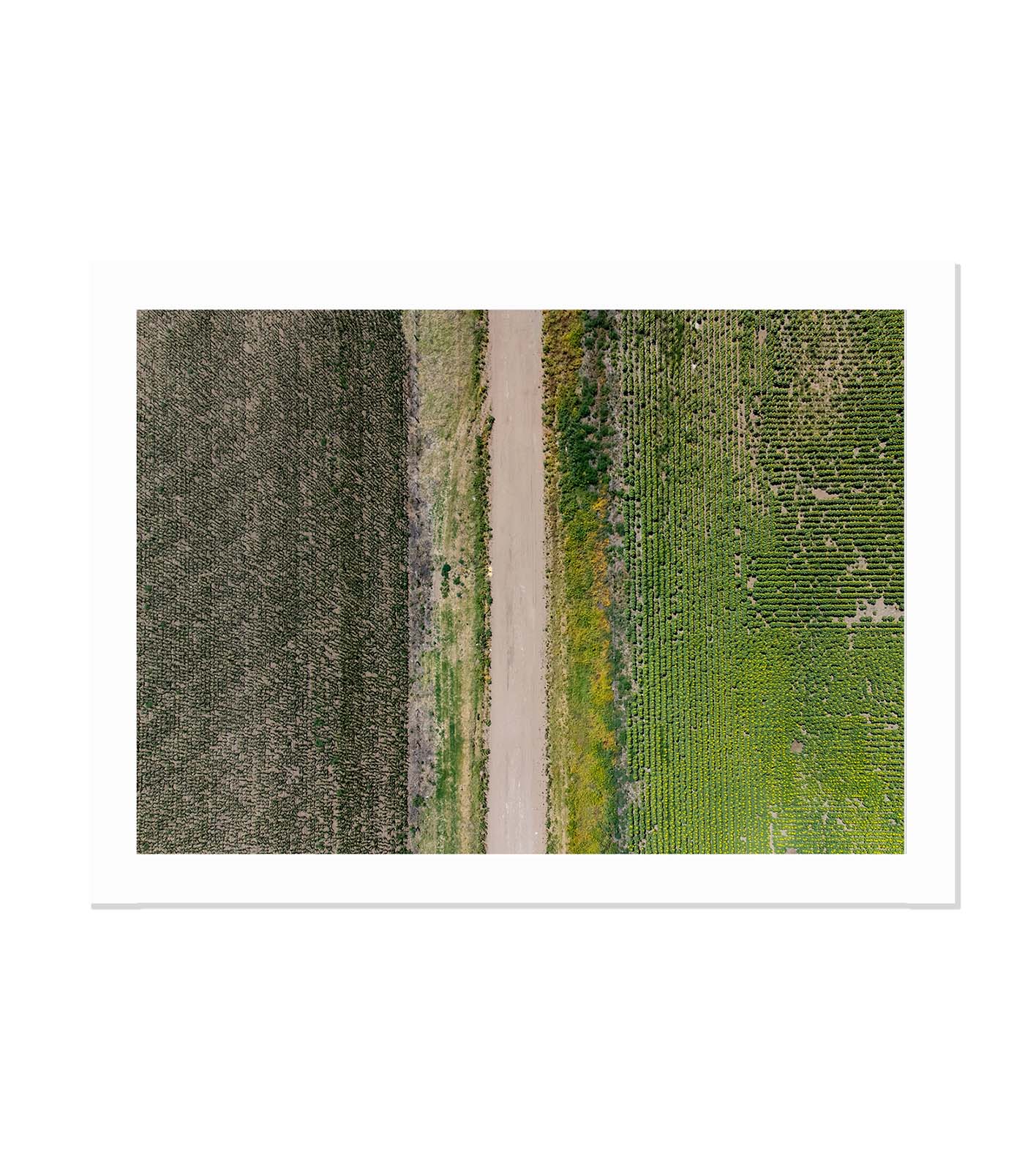 Paralelos rurales