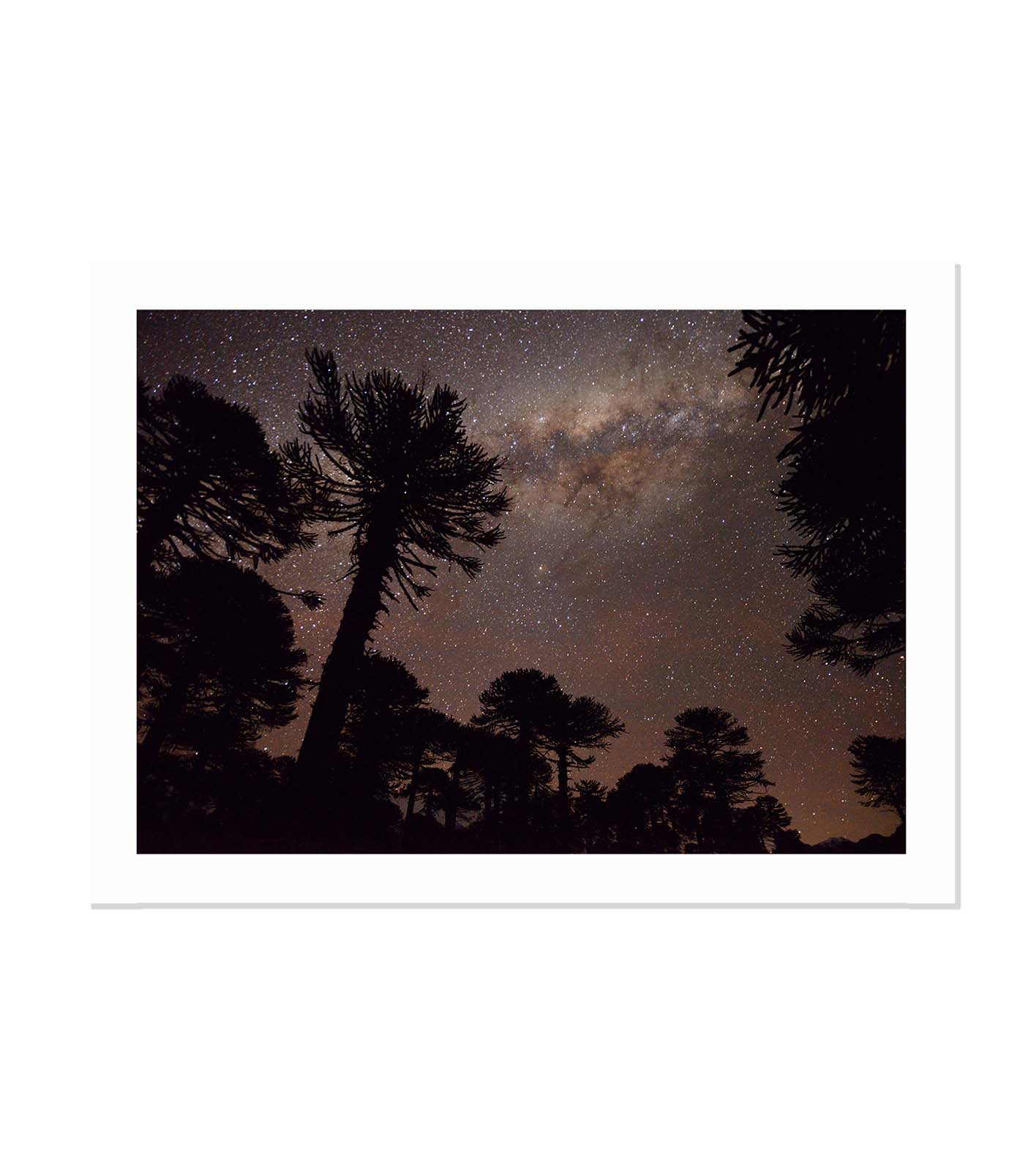 El cielo infinito