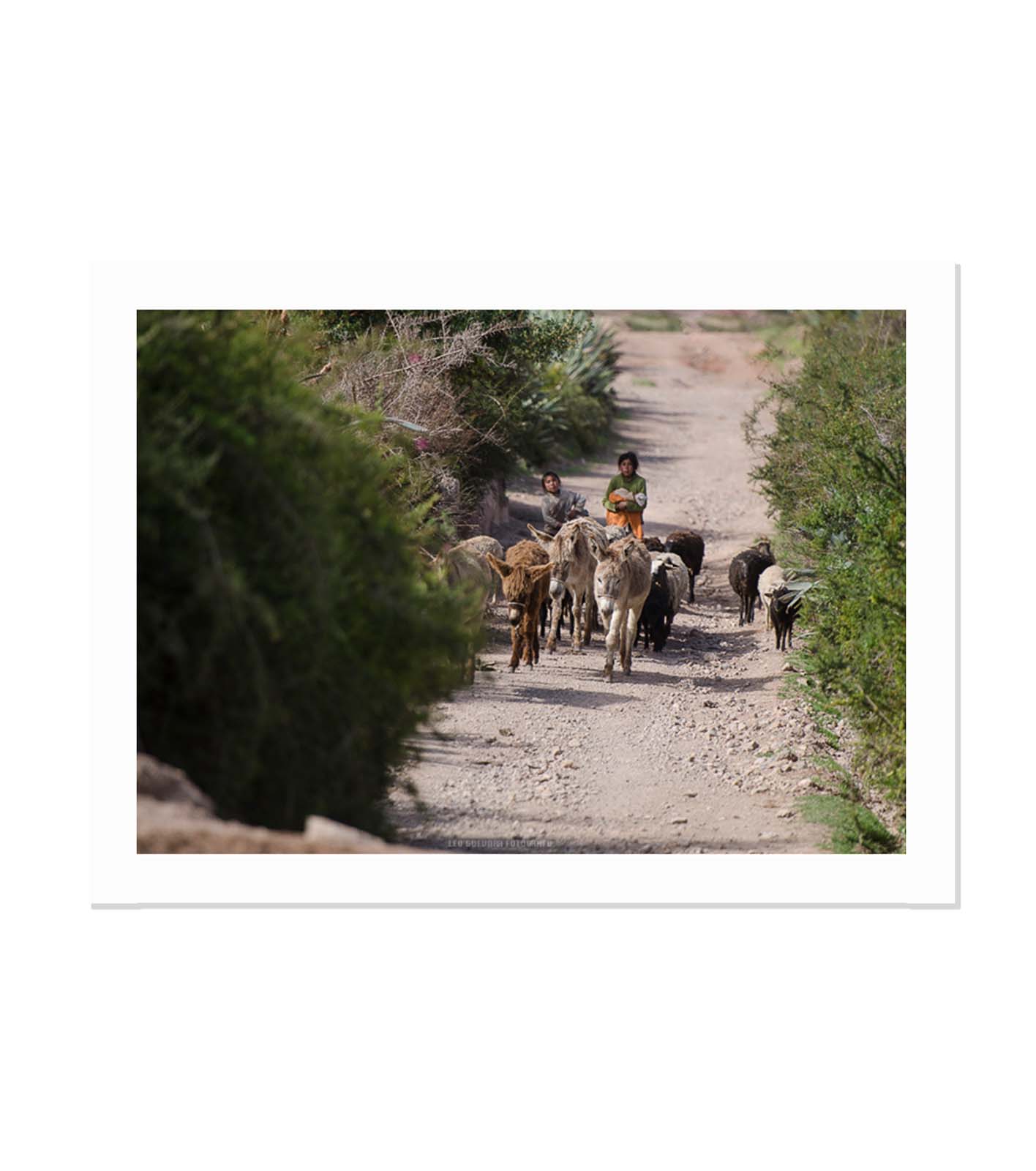 Pasos milenarios en el Valle Sagrado