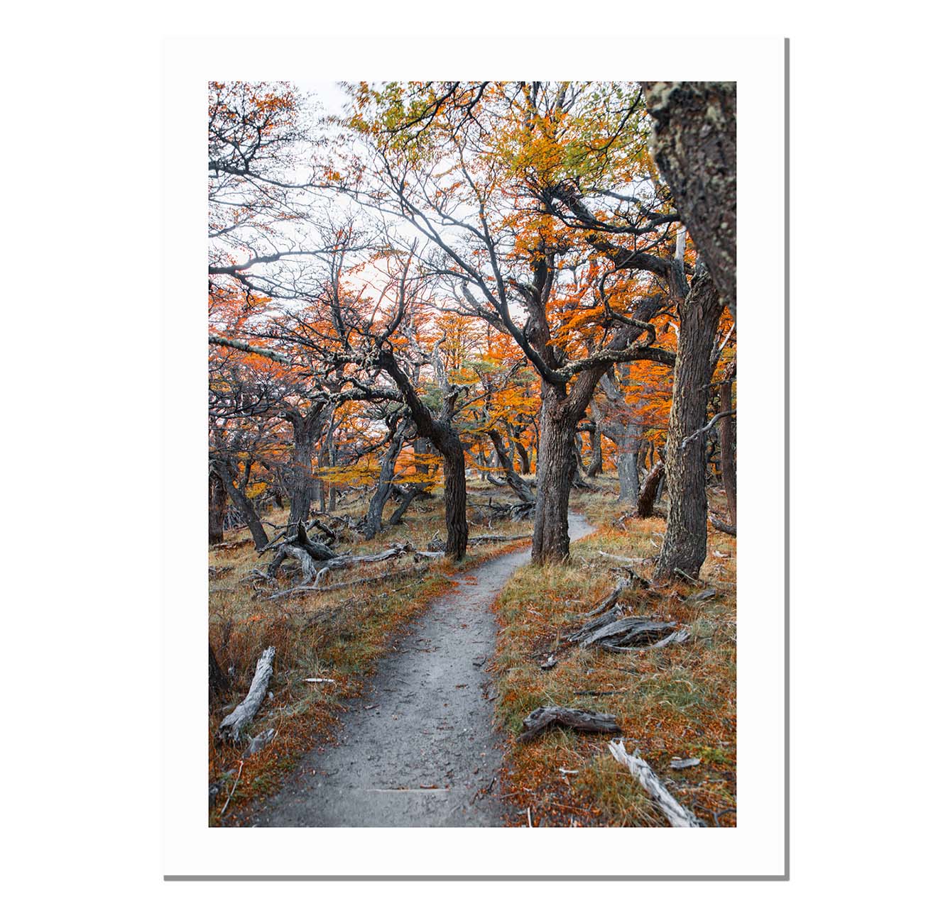 Sendero