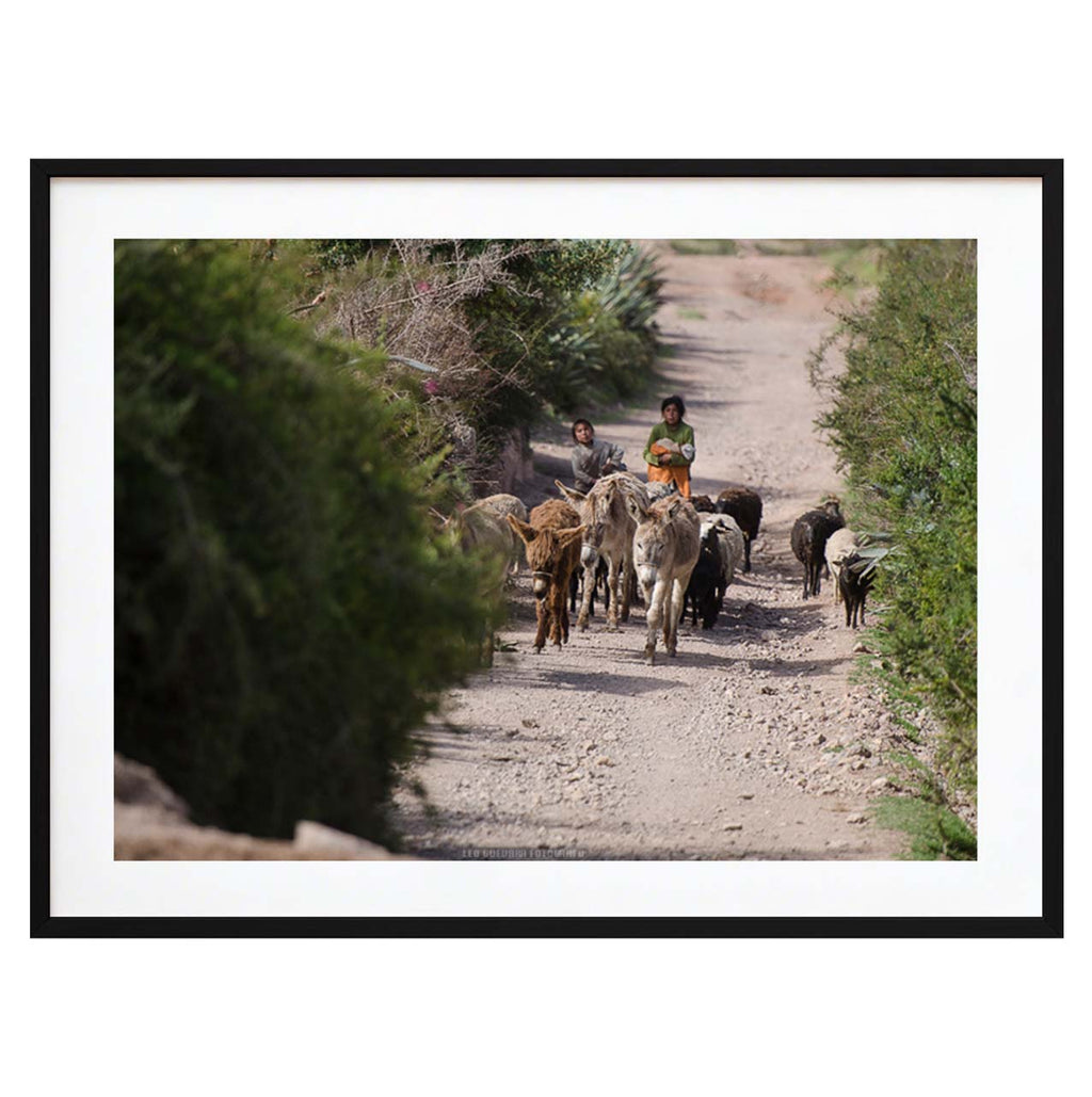 Pasos milenarios en el Valle Sagrado