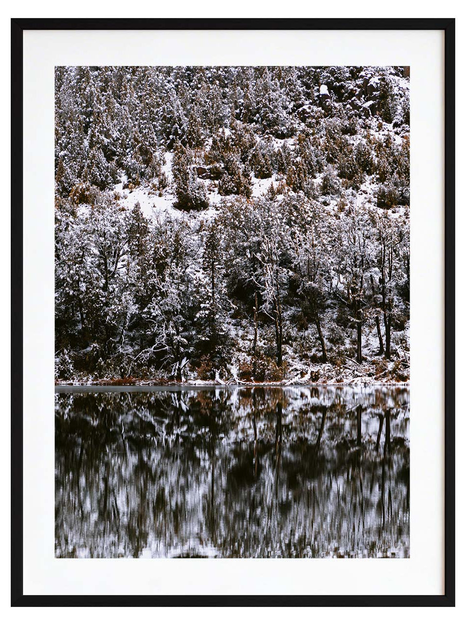 Laguna blanca